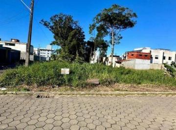 1300deadff434759142f999781f7d767.jpg · Terreno À Venda, 250 m² - Itajuba - Barra Velha/sc
