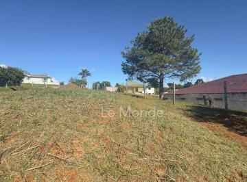 4ea3546e99f31d17f79aa69ba0571fff.jpg · Terreno À Venda, 390 m² por R$250.000 - Centro - Contenda/pr