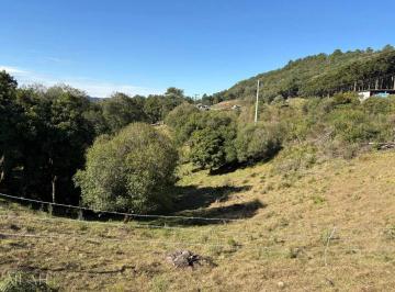 Rural · 20000m² · Excelente Chácara Em Ana Rech Com 2 Hectares