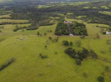 Foto 01 · Fazenda Em Luziânia 1.702 Hectares (351 Alqueires). 37 Divisões de Pasto. Toda No Arame Liso. Marge