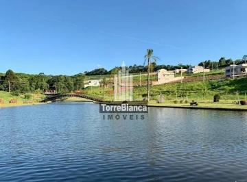 Terreno · 313m² · Terreno Em Colônia Dona Luíza, Ponta Grossa/pr de 313 m² À Venda por R$390.000