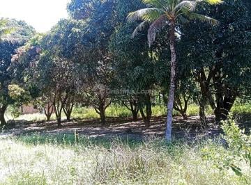Rural · 10m² · 3 Quartos · Fazenda Em Centro, Teresina/pi de 10 m² 3 Quartos À Venda por R$350.000