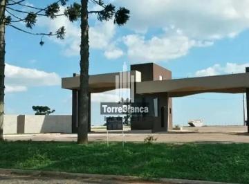Terreno · 502m² · Terreno Em Centro, Carambeí/pr de 502 m² À Venda por R$207.000