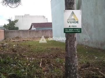 Terreno · 320m² · Terreno Em Tabuleiro, Matinhos/pr de 320 m² À Venda por R$300.000