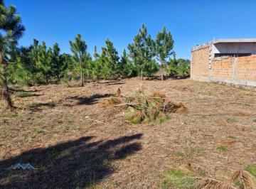 Terreno · 300m² · Terreno À Venda - Em Passo de Torres