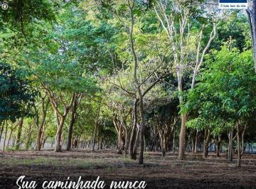 Terreno · 20m² · Terreno Em Zona Rural, Araçatuba/sp de 20 m² À Venda por R$106.000