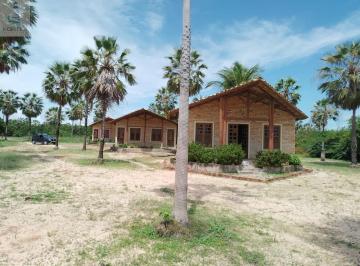 Foto 01 · Sitio À Venda Em Aracati - Ce, No Bairro Baixio, Com 9 Hectares de Área: Sua Oportunidade de Investime
