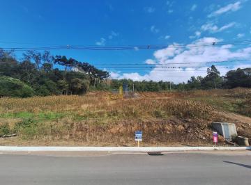Terreno · 360m² · Terreno Para Venda Em Garibaldi, Chácaras