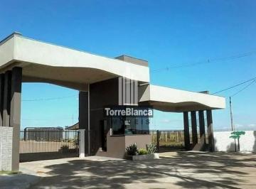 Terreno · 502m² · Terreno Em Centro, Carambeí/pr de 502 m² À Venda por R$207.000