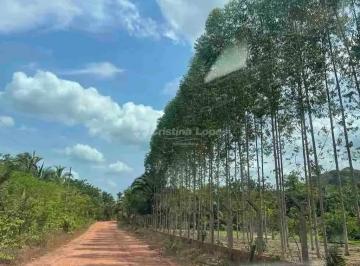 Terreno · 10m² · Terreno Em Zona Rural, Demerval Lobão/pi de 10 m² À Venda por R$330.000