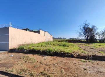 Terreno · 250m² · Terreno de 250 m² À Venda - Residencial E Comercial Palmares