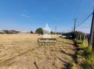 Terreno · 610m² · Terreno Em Boa Vista, Ponta Grossa/pr de 610 m² Para Locação R$1.800,00/mes