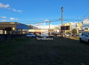 Terreno · 525m² · Terreno Em Boa Vista, Ponta Grossa/pr de 525 m² À Venda por R$1.500.000