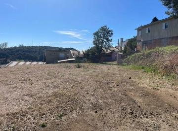 Terreno · 1302m² · Terreno À Venda, Operário - Barão/rs
