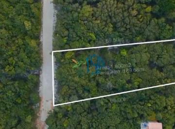 Terreno · 1800m² · Terreno/oportunidade\em Natal\rn/tibaul Do Sul/pipa/paraiso/ Mansão/ Refúgio/ Pousada