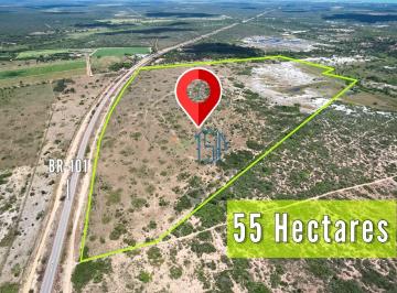 Terreno · 55ha · Área À Venda No Bairro Centro - Ceará - Mirim/rn