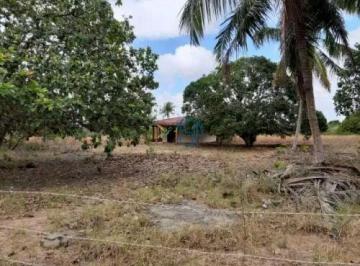 Rural · 10600m² · 2 Quartos · Granja Em Mangabeira - Granja Em Mangabeira (Macaíba) a 02 Km Da Br 101