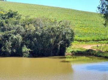 Terreno · 1000000m² · Área Em Jardim Eldorado, Lavras/mg de 0 m² À Venda por R$8.800.000