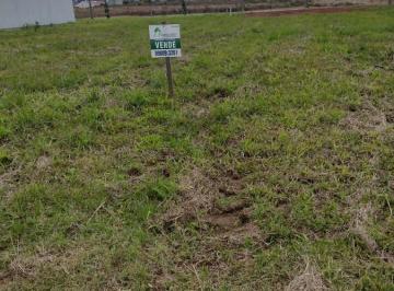 Terreno · 362m² · Terreno Para Venda Em Vera Cruz, Primavera