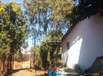 NULL · Chácara Disponível Para Venda No Bairro Chácaras Tubalina E Quartel Em Uberlândia - Mg