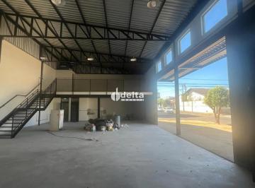 Comercial · 255m² · 6 Vagas · Galpão Disponível Para Locação E Venda No Bairro Custódio Pereira Em Uberlândia - Mg