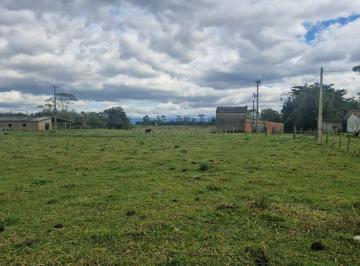 Rural · 9ha · 3 Quartos · Rurais À Venda - Em Passo de Torres