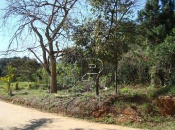 48b8c03be1d20ffdf978a6a42543a2ea.jpg · Terreno À Venda, 1980 m² Na Granja Viana