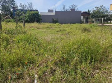 Terreno · 300m² · Terreno À Venda - Em Passo de Torres