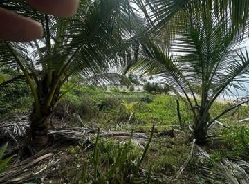 Foto 04 · Terreno Para Investimento Frente Mar Na Península de Maraú, Ba