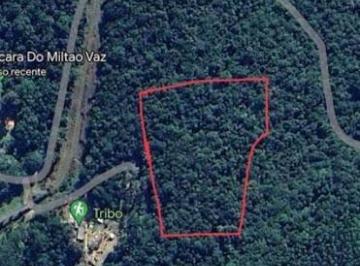 Terreno · 14000m² · Área Em Taiacupeba, Mogi Das Cruzes/sp de 0 m² À Venda por R$424.444