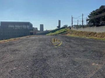 6b5509b8f32ad28cdab1f0620268d2e7.jpg · Excelente Terreno Para Locação Com 5.700 m² No Jardim Mutinga - Barueri/sp – Confira!