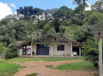 Rural · 100m² · 4 Quartos · Chácara Com 4 Dormitórios À Venda, 33000 m² por R$1.490.000 - Zona Rural - Contenda/pr