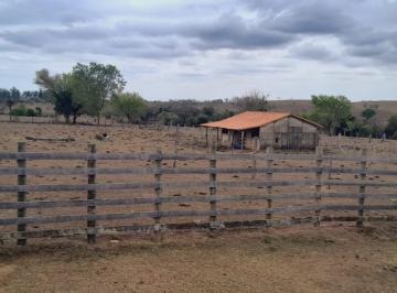 Foto 01 · Sitio 26 Alqueire Em Porangaba Não Tem Casa Só Pasto, Não Aceita Permuta Valor 3.900,000aceita