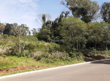 Terreno · 1111m² · Terreno Em Minuano, Gramado/rs de 1111 m² À Venda por R$320.000