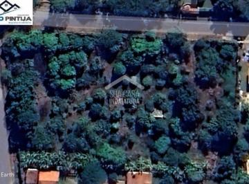 Casa · Terreno de 6.000 m Com Pomar Formado por Mais de 200 Espécies No Condomínio Vale Das Laranjeiras