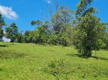 Terreno · 126934m² · Área À Venda Rio Grande - São Bernardo Do Campo - Sp