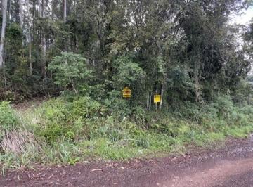 Terreno · 5000m² · Area Rural 5000 m² Ivoti, Picada Feijão