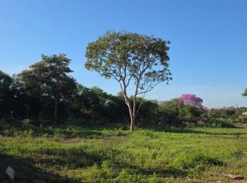 Terreno · 5000m² · Terrenos Para Venda, Santa Isabel, Varzea Grande