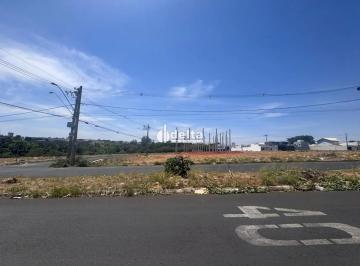 Terreno · 465m² · Terreno Disponível Para Venda No Bairro Santa Rosa Em Uberlândia - Mg.