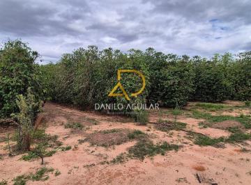 Rural · 405ha · Fazenda de Café