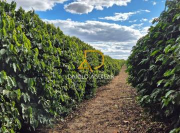 Rural · 21ha · Fazenda de Produção de Café