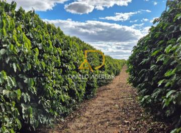 Rural · 21ha · Fazenda de Produção de Café