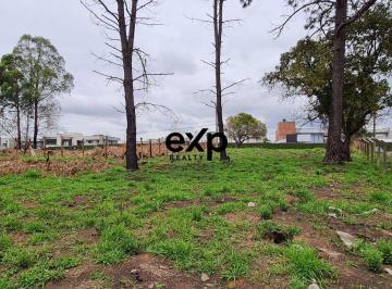 Terreno · 3524m² · Terreno Exclusivo No Jardim Carvalho Em Ponta Grossa, Ao Lado Da Bricks E Em Frente Ao Condomínio Fo