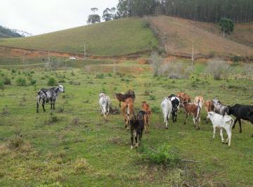 Terreno · 48400m² · Terreno Rural Em Domingos Martins – 1 Alqueire Com Rio, Pasto E Platô Pronto Para Criação de Gado Ou