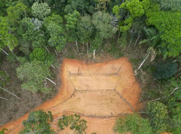 Terreno · 20000m² · Terreno À Venda Na Reserva Imperial – Platô Pronto E Fim de Linha Em Marechal Floriano