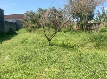 WhatsApp Image 2025-09-11 at 11.39.35.jpeg · Imoveis - No Jardim Ouro Fino