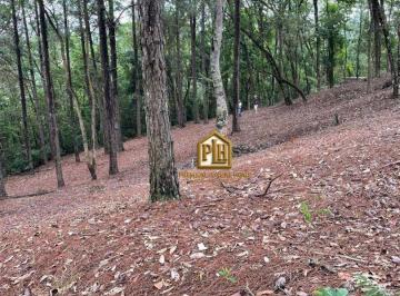 07d3fc0818f3af8816919d835d44f0fd.jpg · Terreno À Venda, 1600 m² por R$250.000 - Estância Santa Maria Do Portão - Atibaia/sp
