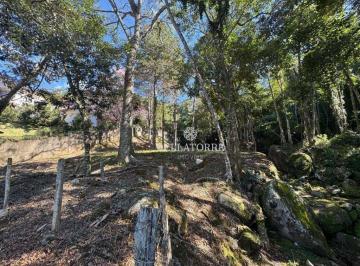 Terreno · 3151m² · Terreno Em Parque Do Ingá, Teresópolis/rj de 0 m² À Venda por R$240.000