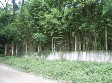58400461c6468507d225e13ebae01fe5.jpg · Área À Venda, 6000 m² por R$1.500.000 - Parque Botujuru - São Bernardo Do Campo/sp