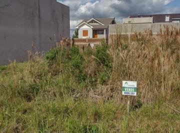 Terreno · 450m² · Terreno Para Venda Em Vera Cruz, Sub Distrito Vera Cruz Esmeralda